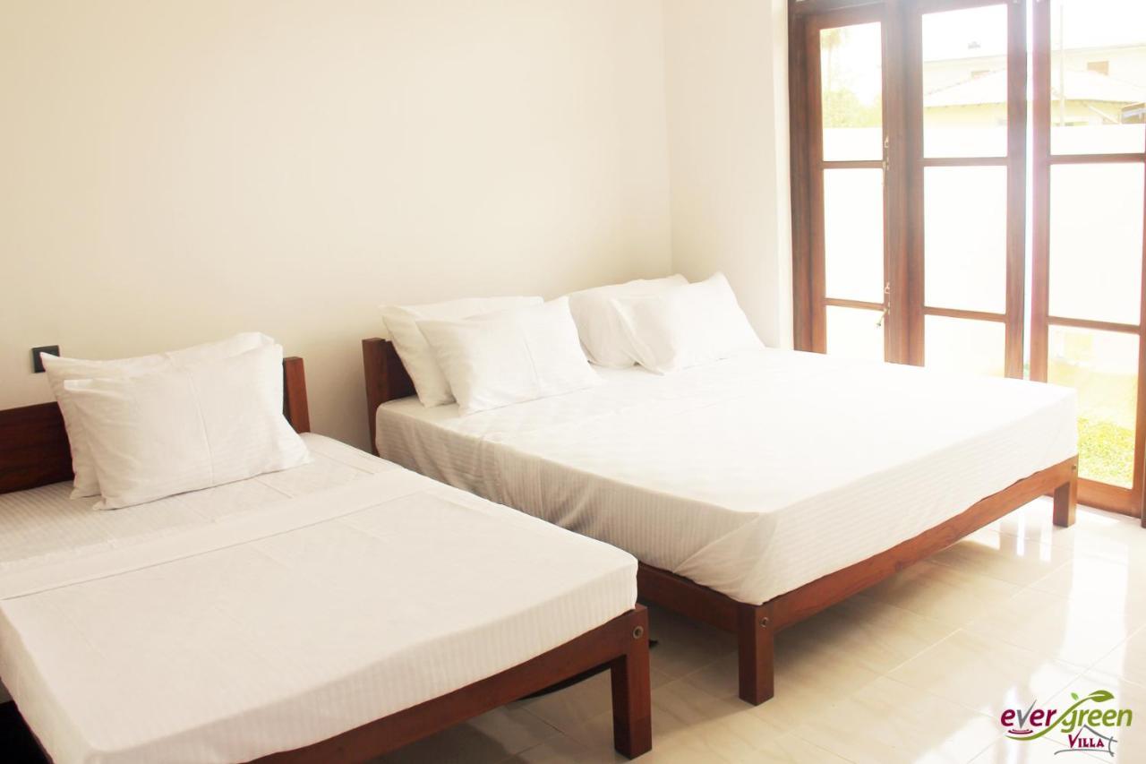 Ever Green Villa Negombo Exteriér fotografie