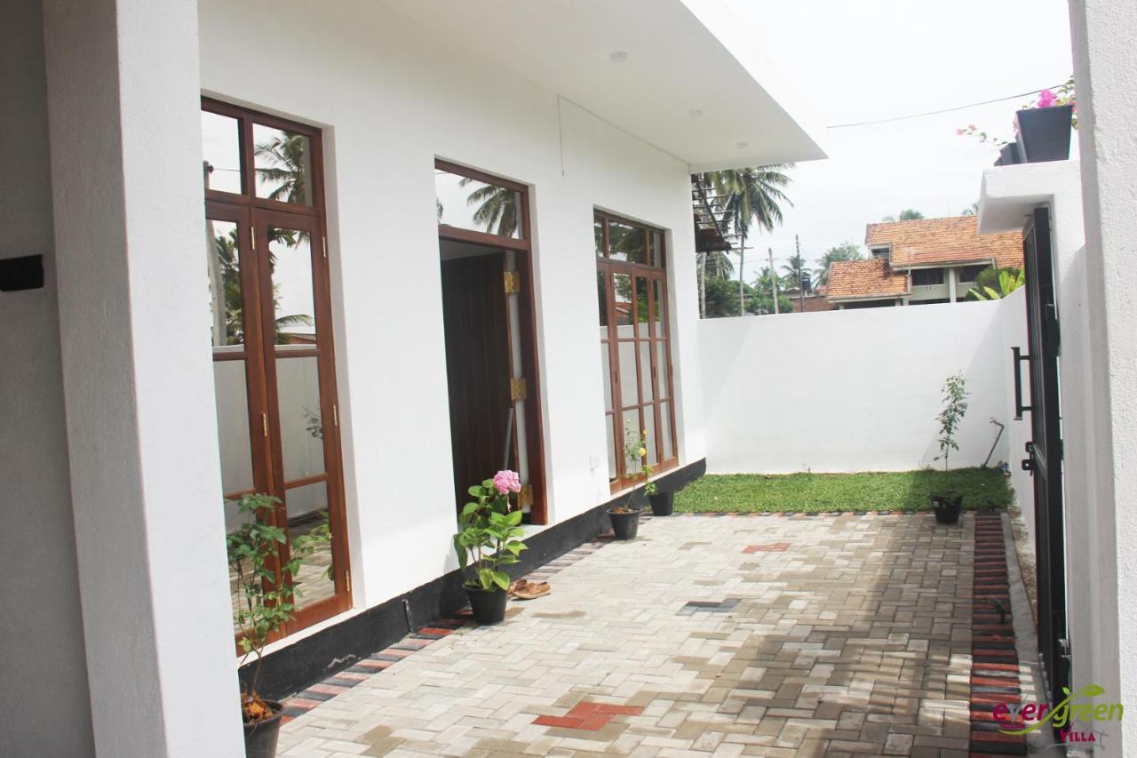 Ever Green Villa Negombo Exteriér fotografie