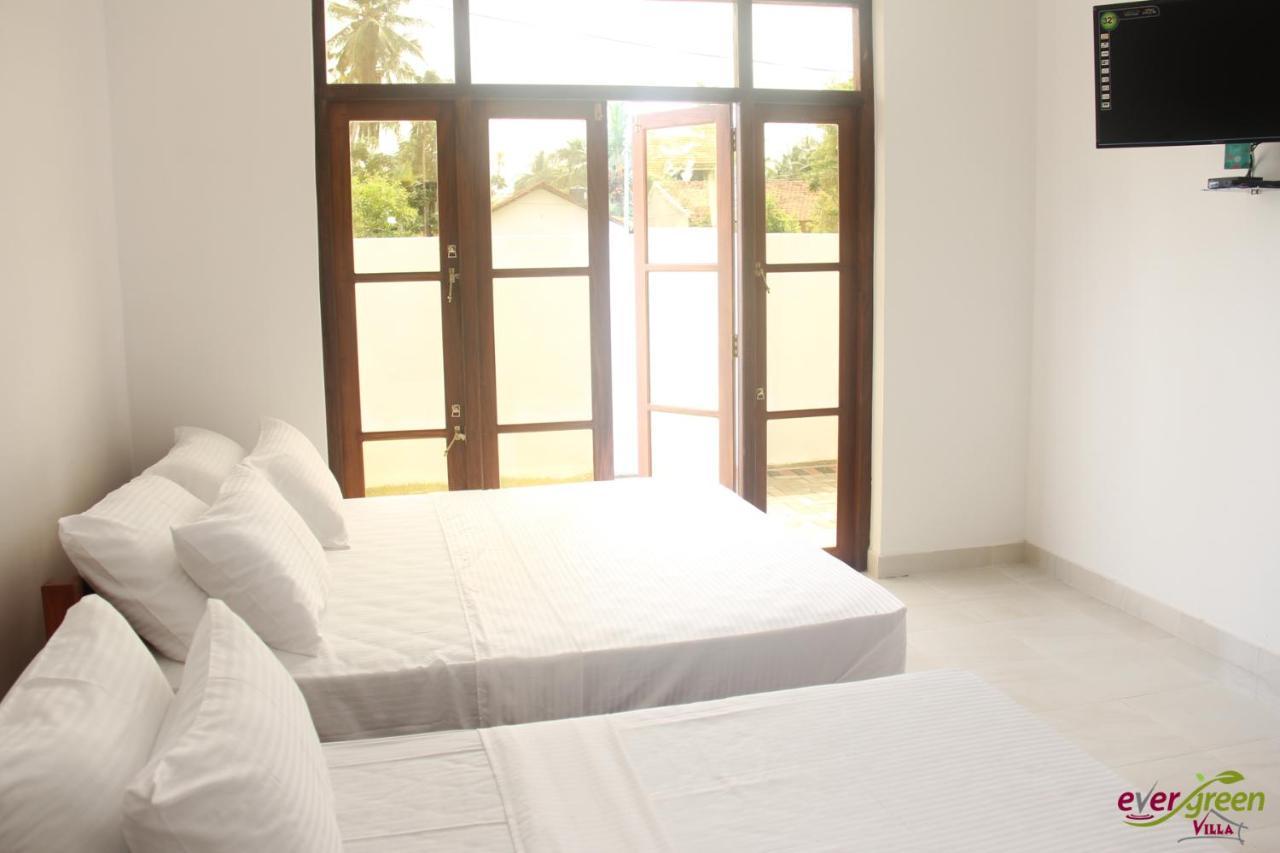 Ever Green Villa Negombo Exteriér fotografie