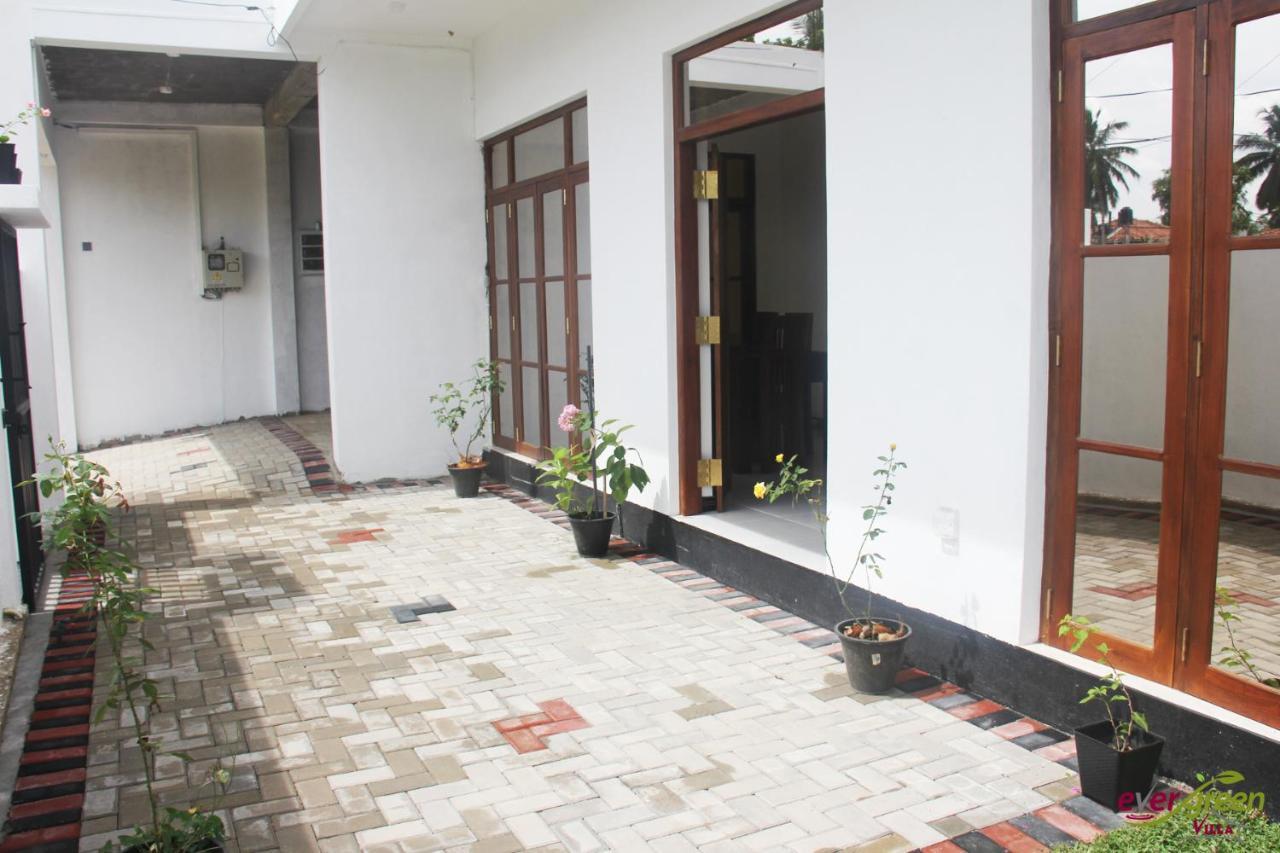 Ever Green Villa Negombo Exteriér fotografie